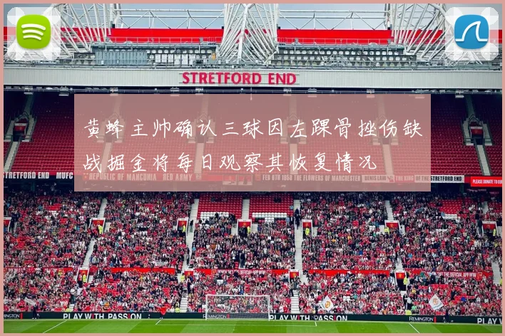 黄蜂主帅确认三球因左踝骨挫伤缺战掘金将每日观察其恢复情况