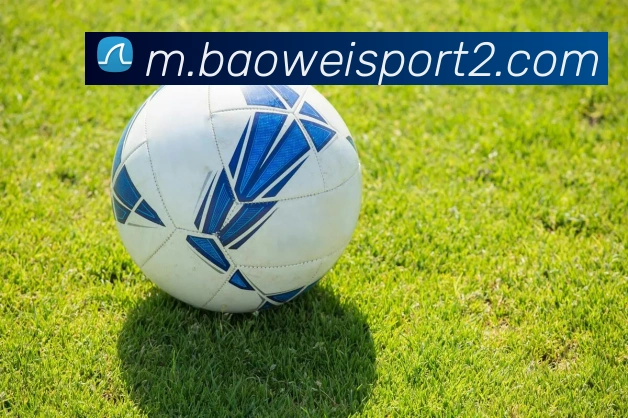 宝威体育平台生态图